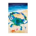 thumbnail image 2 of (1 pack) Meadow Creek 11.5" x 18" Blue Crab Coastal Outdoor Yard Flag, 2 of 6