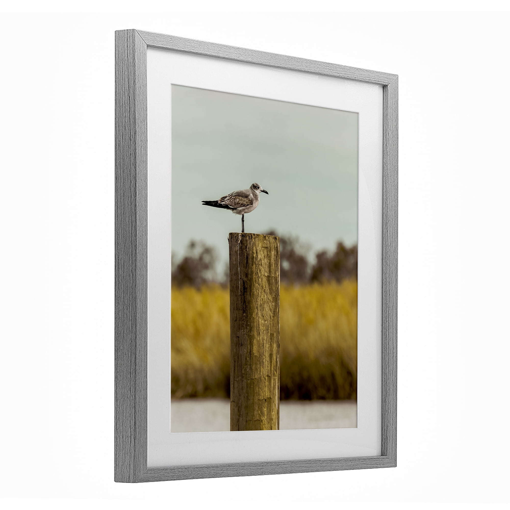 Stupell Industries Gull On Piling Gray Framed Print Under Glass, design by Christy Berry