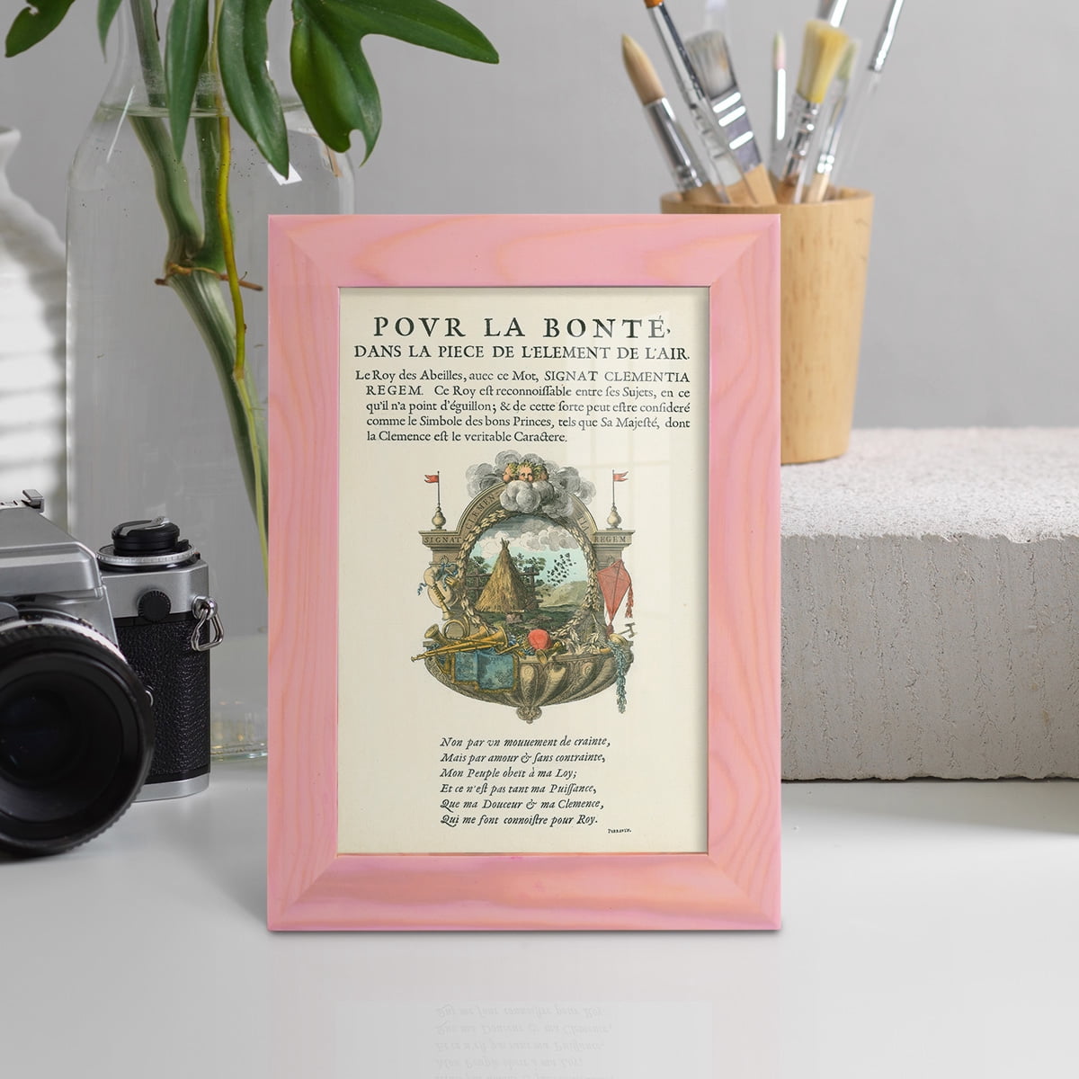 Printed Embellished Bookplate III - Framed Print w/glass - Sunset Pink