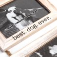thumbnail image 4 of shiyou-Dogs Wall Picture Frame 5x7 Collage 3 Photo Frame Picture Gallery with String Husky Dog Shepherd Dog or Pet Picture Frames Memorial Display Frame on Ropes Gifts for Wall for Home and Office……, 4 of 4