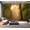 Color1, variant on Peel and Stick Wallpaper Autumn park Linden tree Modern Art Wall Mural Decor Self Adhesive and Removable 69in x 98in