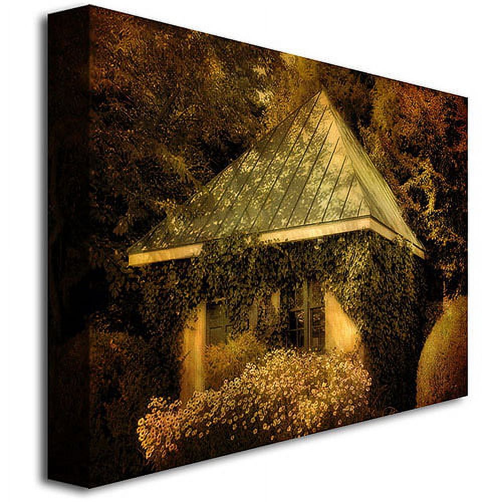 Trademark Fine Art "Forgotten Shed" Canvas Wall Art by Lois Bryan