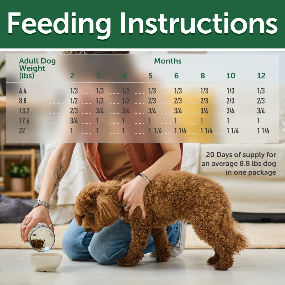 Nature's Protection Superior Care Dry Dog Food, Small Red Coat Puppies, Grain-Free Salmon, 3.3lb