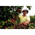 thumbnail image 5 of Homestead Coffee Co. - 100% Columbian Roast - Gourmet Coffee, 5 of 6
