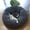 Dark Gray, variant on Dabei Cat Beds For Indoor Cats, Cat Bed Machine Washable, Round Pet Bed Non-Slip, Calming Soft Plush Donut Cuddler Cushion Self Warming For Small Dogs Kittens, Medium