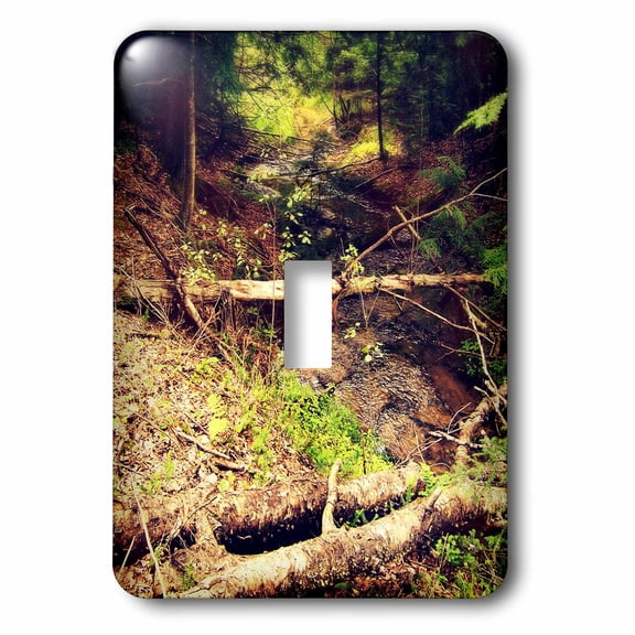 3dRose, Hilton Creek photography of a northern Michigan forest and creek with moss trees, single toggle switch