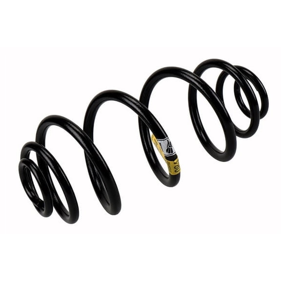 GM Genuine Parts Rear Coil Spring