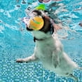 thumbnail image 2 of Graflsoa Interactive LED Pet Toy Ball with USB Rechargeable Battery, Waterproof IP54, Multi-Color Options, Rolling & Jumping Modes, Lightweight & Durable Design, 2 of 6