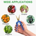 thumbnail image 2 of GROWNEER 6 Packs Pruning Shears with Curved Blades Gardening Hand Pruning Snips Titanium Coated Precision Blades, 2 of 7
