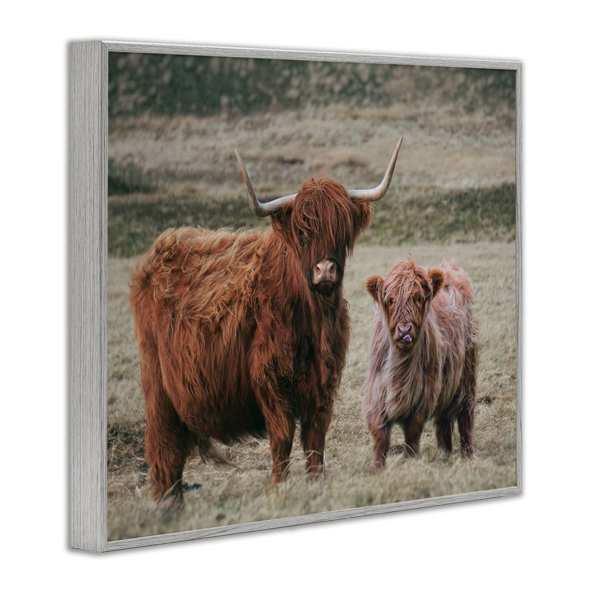 Mom & Baby Cow Gray Framed Giclee Art, design by Lettered and Lined