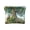 Animals Surrounded Tree, variant on Leather Coin Purse Pouch No Zipper Small Carbon Black Block Makeup Bag for Women Men Cosmetics Jewelry 4.3x3.7 inch