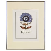 Frame USA 16" x 20" Aluminum Picture Frames, Silver