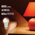 thumbnail image 2 of Energizer 4-Pack Smart Wi-Fi Multi-Color and Single White LED Light Bulb, A19 Shape, E26 Base, 2 of 7