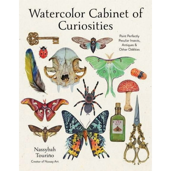 Watercolor Cabinet of Curiosities: Paint Perfectly Peculiar Insects, Antiques  Other Oddities