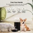 thumbnail image 2 of Dispensador de agua CZPET automático 4L para perro y gato, 2 of 6
