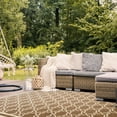 thumbnail image 4 of SAFAVIEH Courtyard Allison Oriental Indoor/Outdoor Area Rug, Brown/Bone, 5'3" x 7'7", 4 of 10