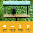 thumbnail image 2 of Birds Choice 13" Large Fly-Thru Recycled Hanging or Pole Mounted Bird Feeder, Taupe/Green, 2 of 10