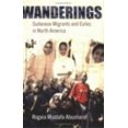 thumbnail image 1 of Pre-Owned Wanderings (Paperback) 080148779X 9780801487798, 1 of 1