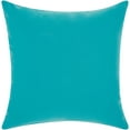 thumbnail image 2 of Nourison Outdoor Pillows Turquoise/Coral Decorative Throw Pillow , 18"X18", 2 of 2