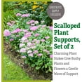 thumbnail image 2 of Scalloped Plant Supports Set of 2, 2 of 5