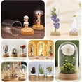 thumbnail image 3 of 4pcs Glass Display Dome Cloche Glass Bell Jar with Cork Base Small Glass Bottles Dome Decorative Jars Display Case, 3 of 7