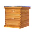 thumbnail image 1 of Kit de colmena ThxBees de 10 cuadros, madera recubierta con cera de abeja, 1 of 9