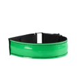 thumbnail image 1 of Brazalete con Luz LED BRILLAR Verde, 1 of 5