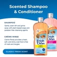 thumbnail image 2 of Paquete de champú y crema de enjuague Petag Fresh 'n Clean 530 ml, 2 of 5