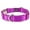 Bright Purple, variant on Country Brook Petz® Copper Gold Heavyduty Nylon Martingale with Premium Buckle, Small
