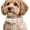 A, variant on MKHSQHDG Sales Today Clearance Elegant Pearl Collar and Sparkling Cat Necklace Jewelry for Teacup Puppies and Small