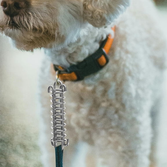 Soimiss Bungee Leash Extension Shock Absorbing Silver 2Pcs