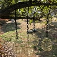 thumbnail image 7 of Bfogop Ball Bird Feeders,Metal Hanging Wild Bird Feeder,Fat Ball Bird Feeders with S-Shaped Hooks,Suet Ball Feeders for Outside,Metal Bird Feeder for Garden, Parrot, Sparrow, 7 of 7