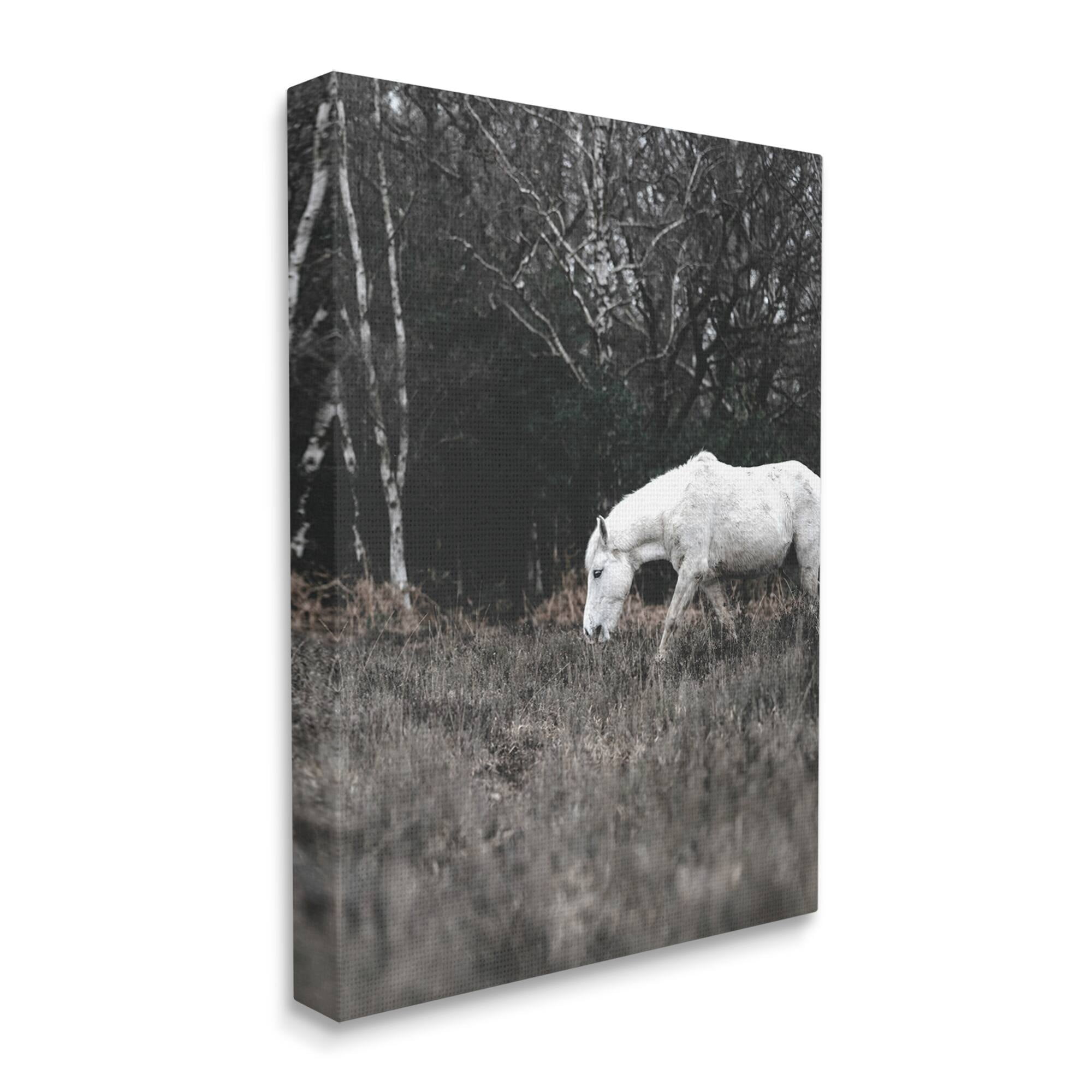 Stupell Industries Rural Monochrome Meadow Trees White Horse Grazing Canvas Wall Art, 30 x 40, Design by Amy Brinkman