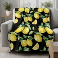 thumbnail image 2 of Lemon Black Blanket Soft Cozy Warm Throw Blanket for Couch, Plush Fuzzy Flannel Fleece Blankets for Sofa, Country Fruit Watercolor Farmhouse Plant Bed Blankets Lightweight Gifts for Women, 50"x60", 2 of 9