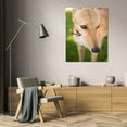 thumbnail image 3 of Karyn Millet 23x32 Gallery Wrapped Canvas Wall Art Titled - Greyhound, 3 of 4