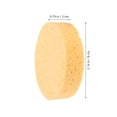 thumbnail image 2 of HONMEET 4pcs Round Sponge Brushes For Painting PVA Absorbent Tool For Artists Craft, 2 of 6