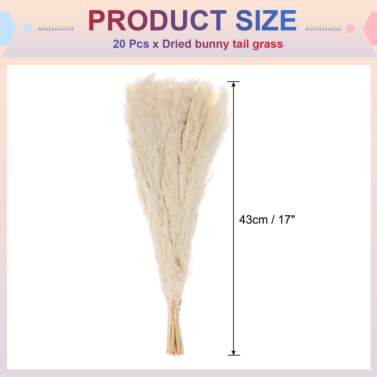 Uxcell 20pcs Natural Rabbit Bunny Tails Dried Flowers 17" Mini Pampas Grass Lagurus Ovatus Bunch for Floral Wedding Decor Christmas, White