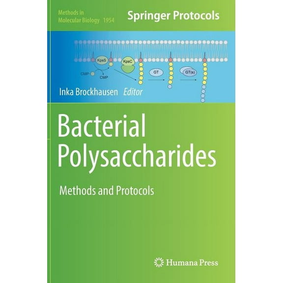 Methods in Molecular Biology Bacterial Polysaccharides: Methods and Protocols, Book 1954, (Hardcover)