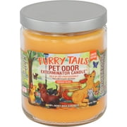 Pet Odor Exterminator 13 Ounce Jar Candle, Furry Tails