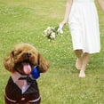 thumbnail image 2 of HQREA Gentleman Dog Wedding Shirt, Puppy Cat Pet Formal Tuxedo & Bow Tie Suit, 2 of 6