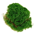 thumbnail image 1 of GOOHOCHY Césped artificial de musgo, accesorio de micropaisaje, musgo artificial decorativo, 1 of 8