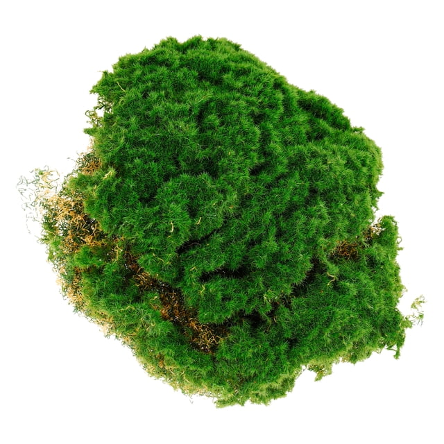 GOOHOCHY Césped artificial de musgo, accesorio de micropaisaje, musgo artificial decorativo