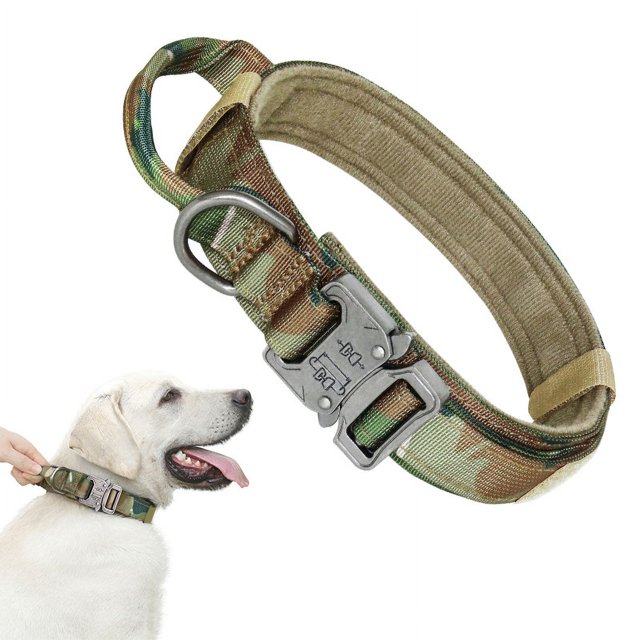 A CP Collar de Perro de Camuflaje, Collar de Perro táctico M (36-44,5 cm), Pulso y tirón Fuerte, Collar de Perro Ajustable Rojo Verde
