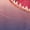 Red, variant on Animal Shirt, Shark Shirt