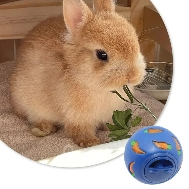 Automatic Rabbit Food Dispenser Slow Feeding Puzzle Toy for Small Interactive Educational Snack Game