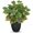 # Rusted Green, variant on 14.5" Artificial Indoor Decor, Potted Silk for Shelves Living Room Decorative, Small Artificial Office Desk in Pots, Faux Peperomia Hope Tropical House