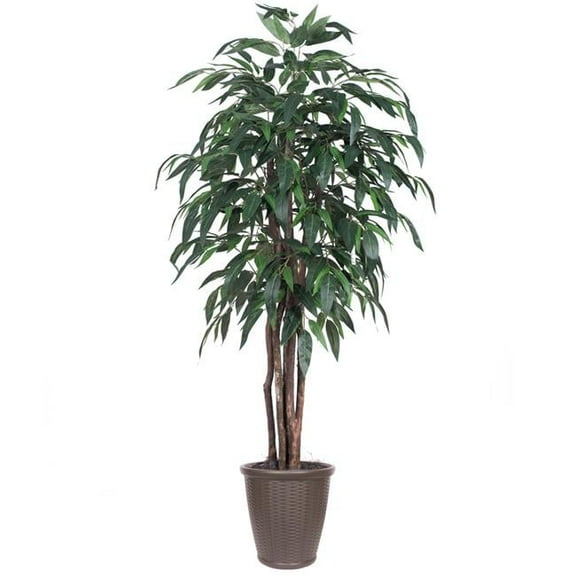 Vickerman 6' Artificial Ming Aralia Executive Tree. Brown Round Container