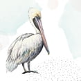 thumbnail image 3 of Pinto, Patricia 20x20 Black Modern Framed Museum Art Print Titled - Turquoise Pelican, 3 of 5