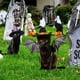 thumbnail image 1 of Estatua de gato con sombrero de bruja de metal para decoración de jardín de Halloween con calabaza para patio, patio, estaca de tierra, decoración navideña al JASKFLY, 1 of 9