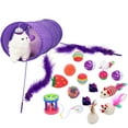 thumbnail image 1 of 16-Piece Cat Toy Set Including Cat Tunnel, Cat Rod And Other 14Pcs Toys for Cats, 1 of 1